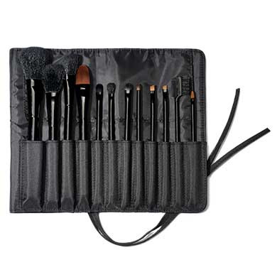 Artist Choice Professional Brush Kit