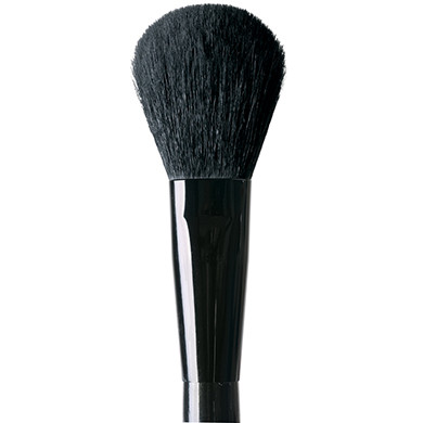 Blush Makeup Brush